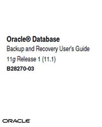 Oracle Backup and Recovery User-s Guide